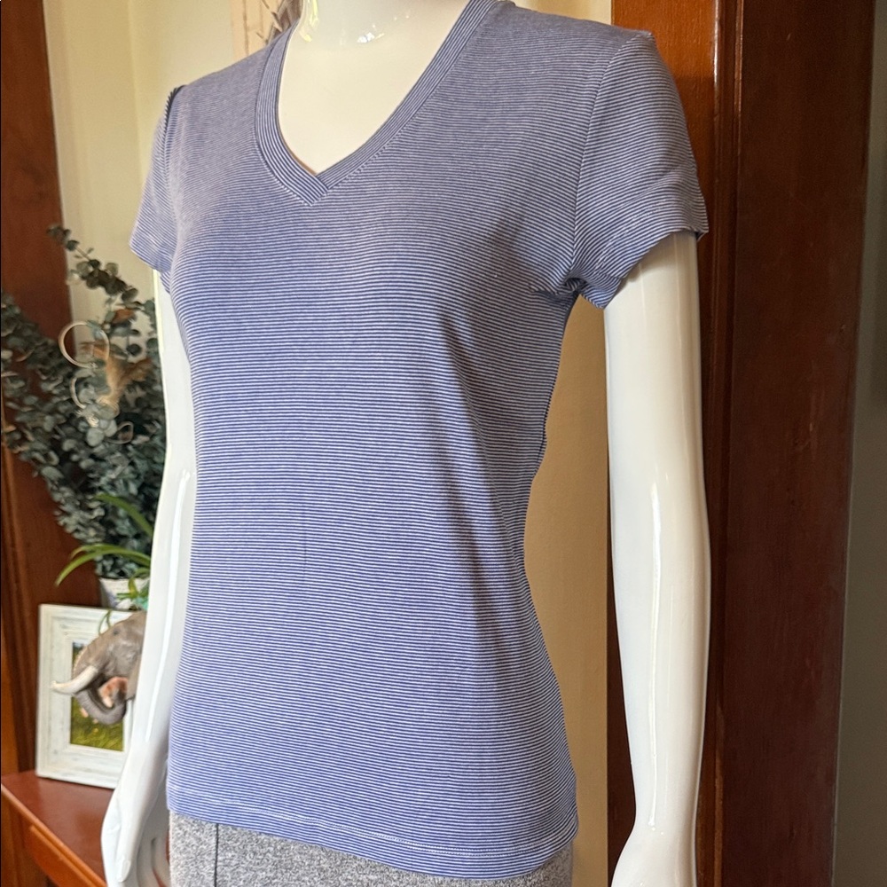 NWT northern reflections size small Classic Blue Striped V-Neck Women's Top